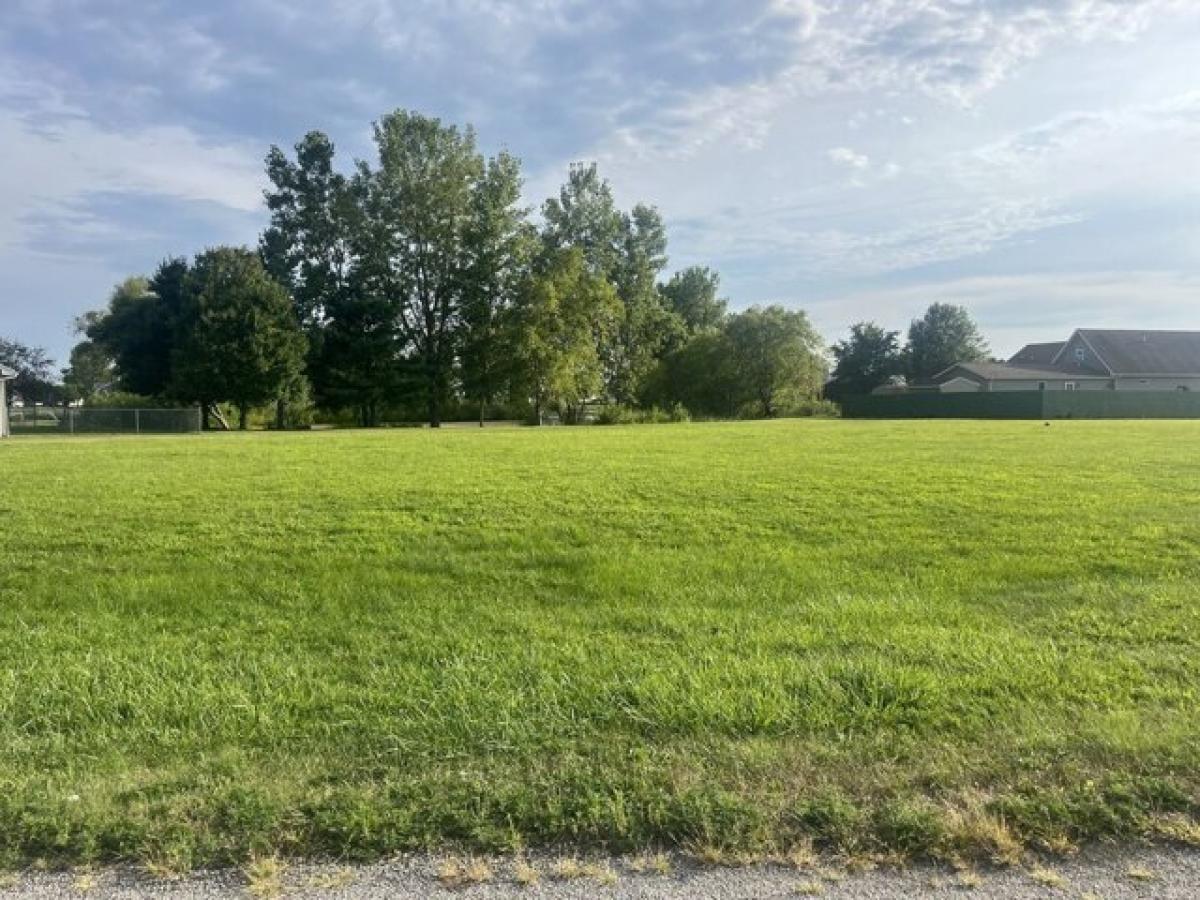 Picture of Residential Land For Sale in Camargo, Illinois, United States