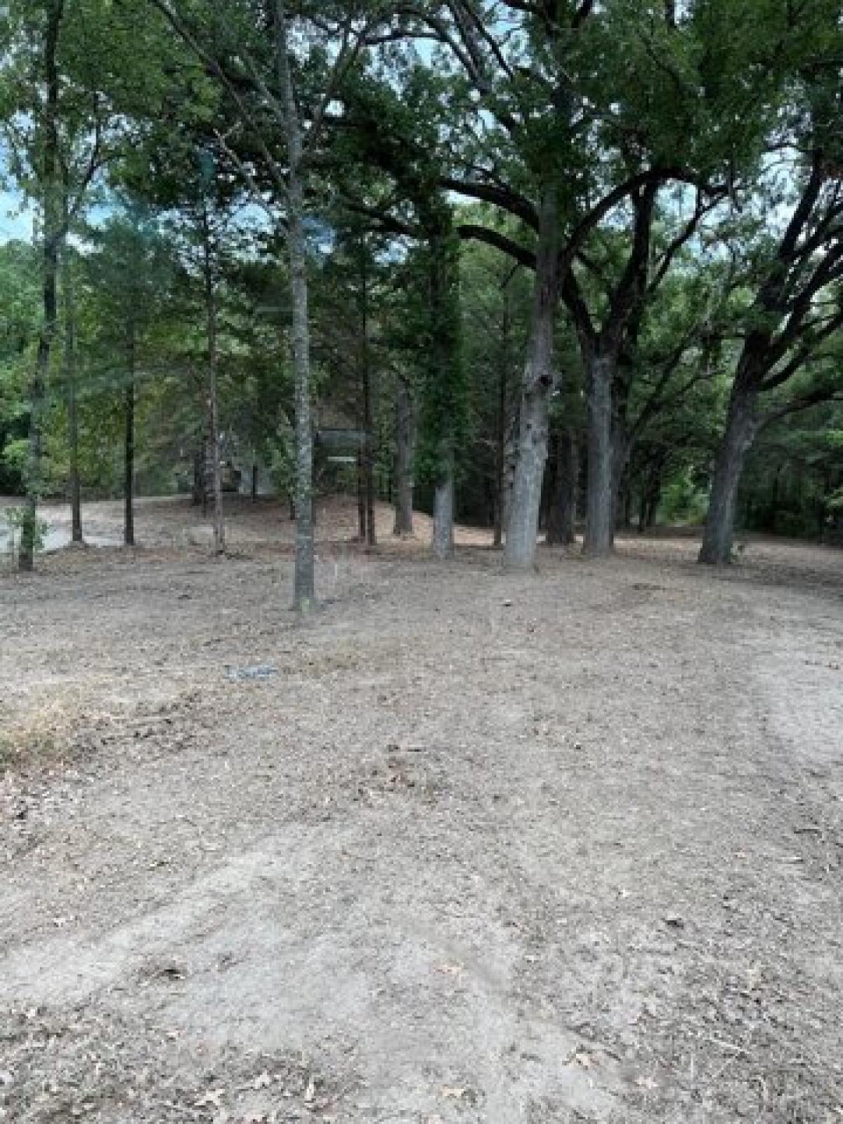 Picture of Residential Land For Sale in Kemp, Texas, United States