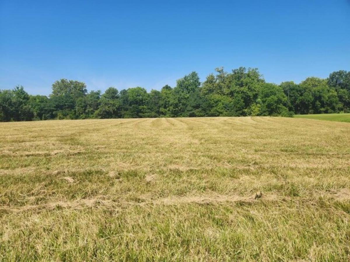 Picture of Residential Land For Sale in Aurora, Indiana, United States