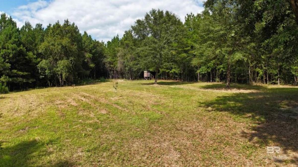 Picture of Residential Land For Sale in Little River, Alabama, United States