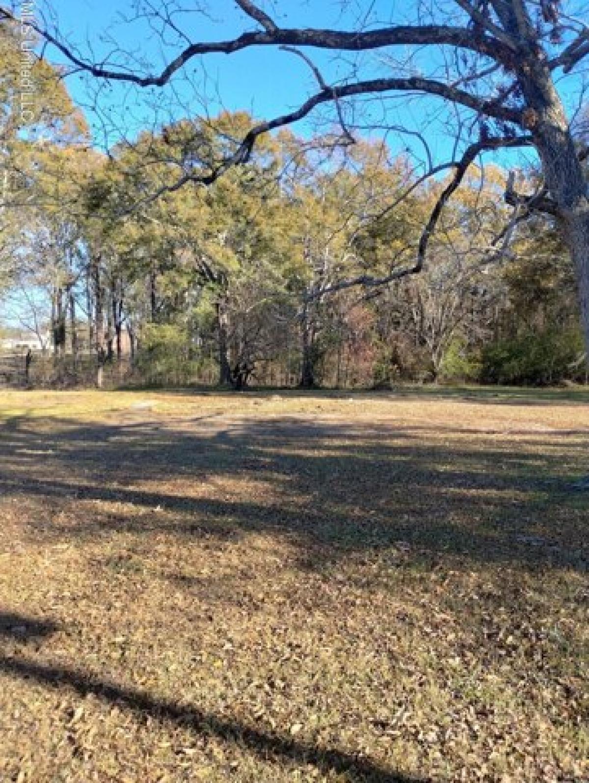 Picture of Residential Land For Sale in Madison, Mississippi, United States