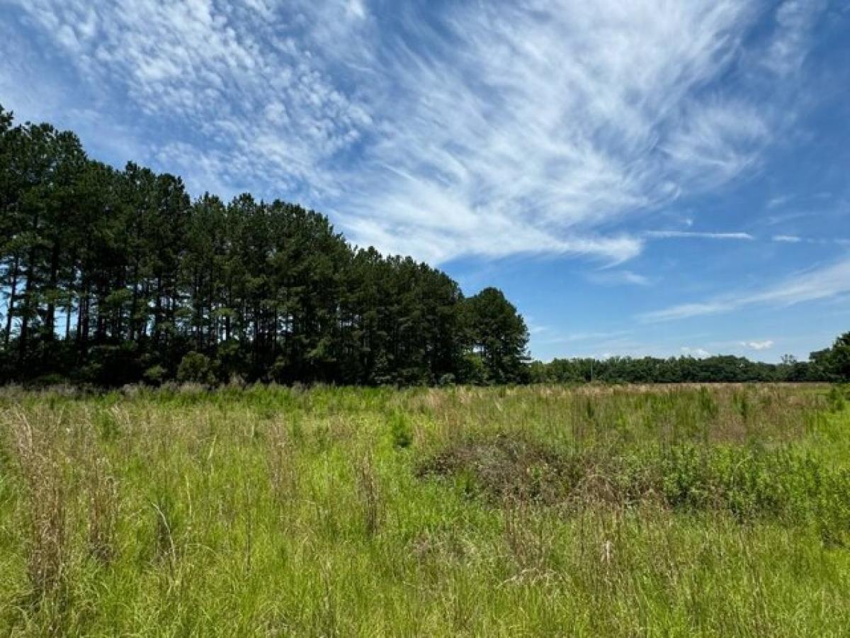 Picture of Residential Land For Sale in Fairfax, South Carolina, United States