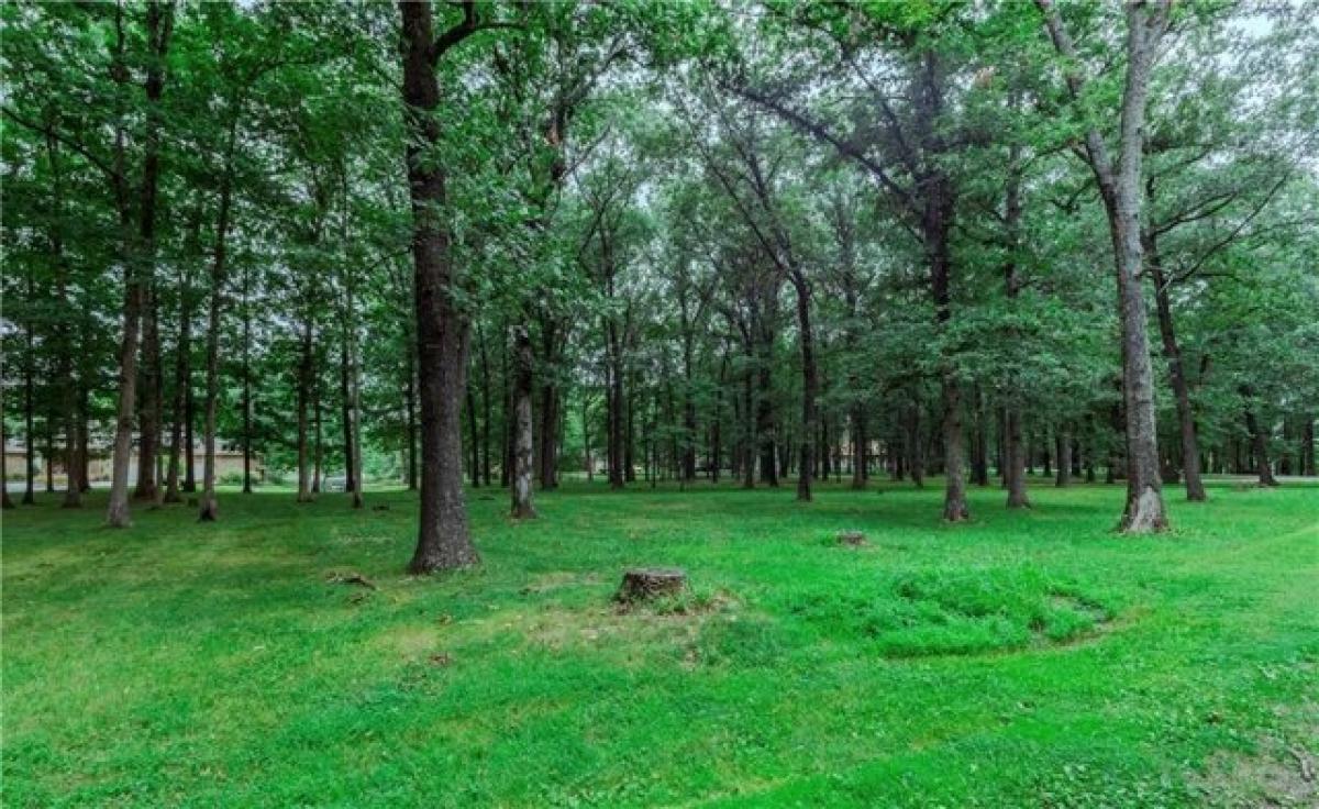 Picture of Residential Land For Sale in Pana, Illinois, United States