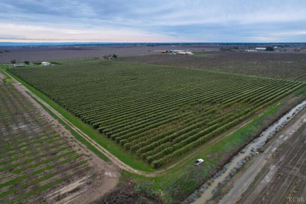 Picture of Residential Land For Sale in Yuba City, California, United States