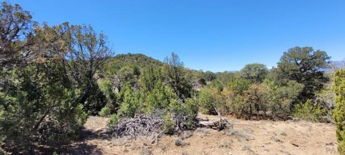 Picture of Residential Land For Sale in Walsenburg, Colorado, United States