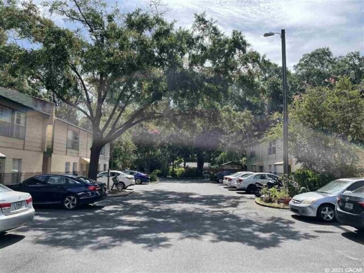 Picture of Apartment For Rent in Gainesville, Florida, United States