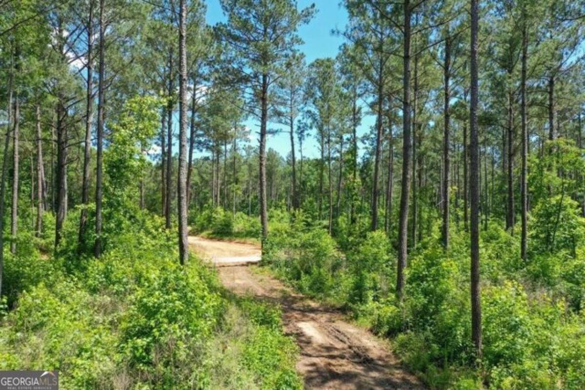 Picture of Residential Land For Sale in Lexington, Georgia, United States