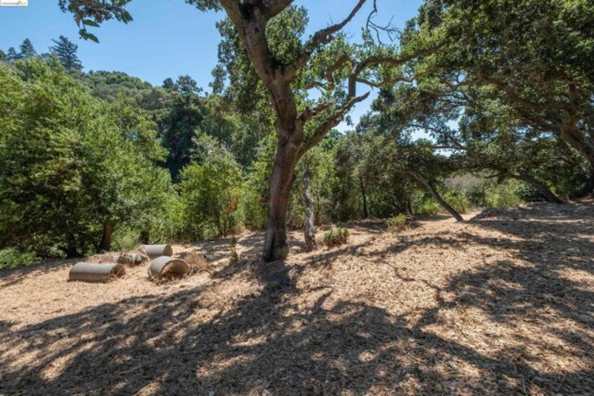 Picture of Residential Land For Sale in El Sobrante, California, United States