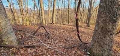 Residential Land For Sale in Mountain City, Tennessee