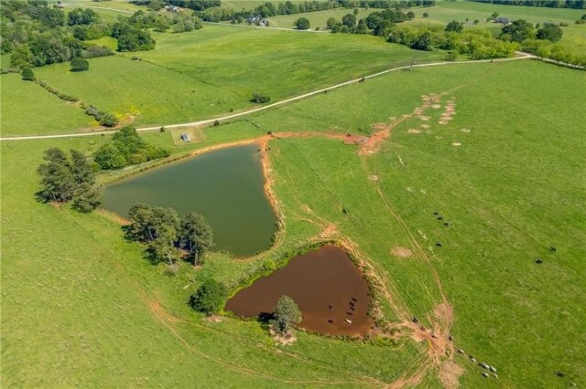 Picture of Residential Land For Sale in Carnesville, Georgia, United States