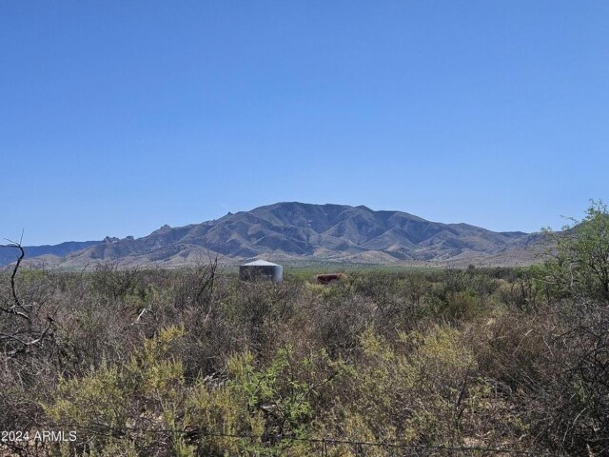 Picture of Residential Land For Sale in Cochise, Arizona, United States