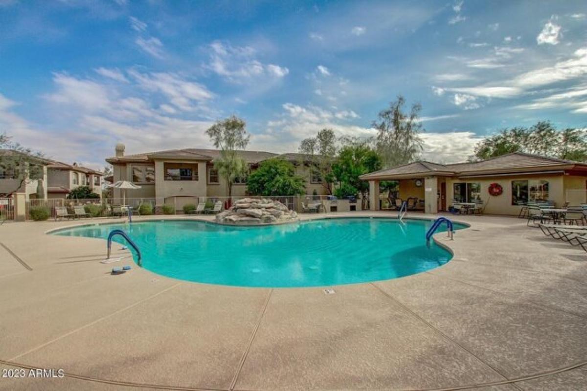 Picture of Apartment For Rent in Fountain Hills, Arizona, United States