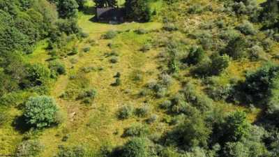 Residential Land For Sale in Terra Alta, West Virginia