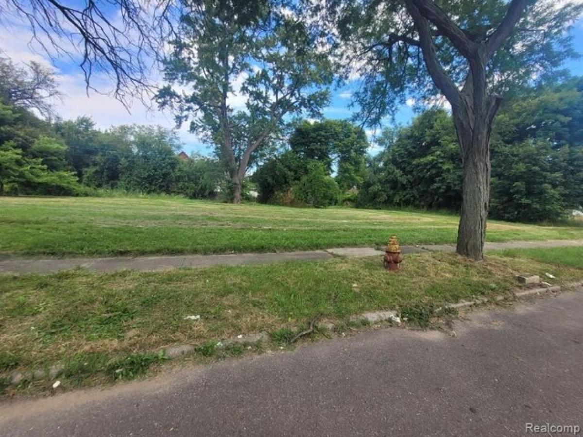 Picture of Residential Land For Rent in Detroit, Michigan, United States