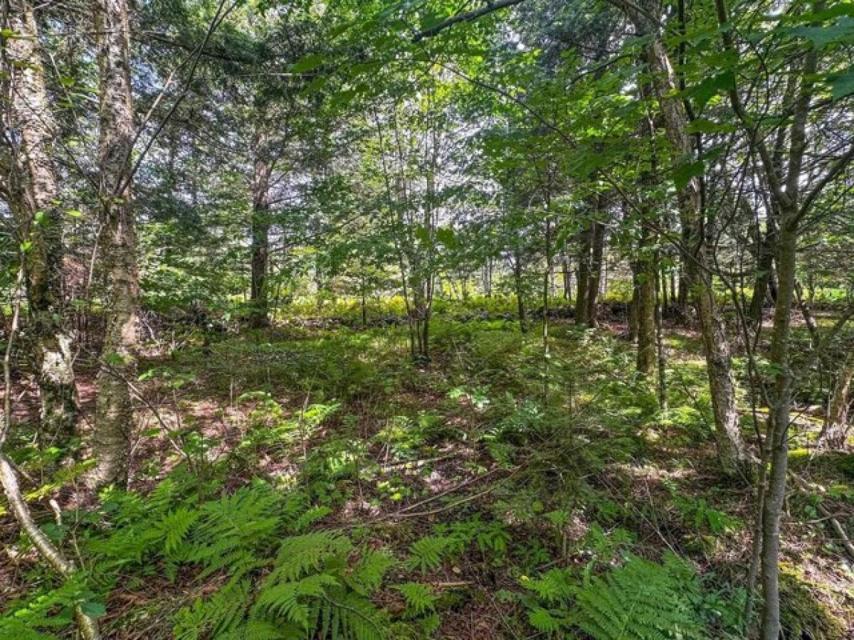 Picture of Residential Land For Sale in Park Falls, Wisconsin, United States