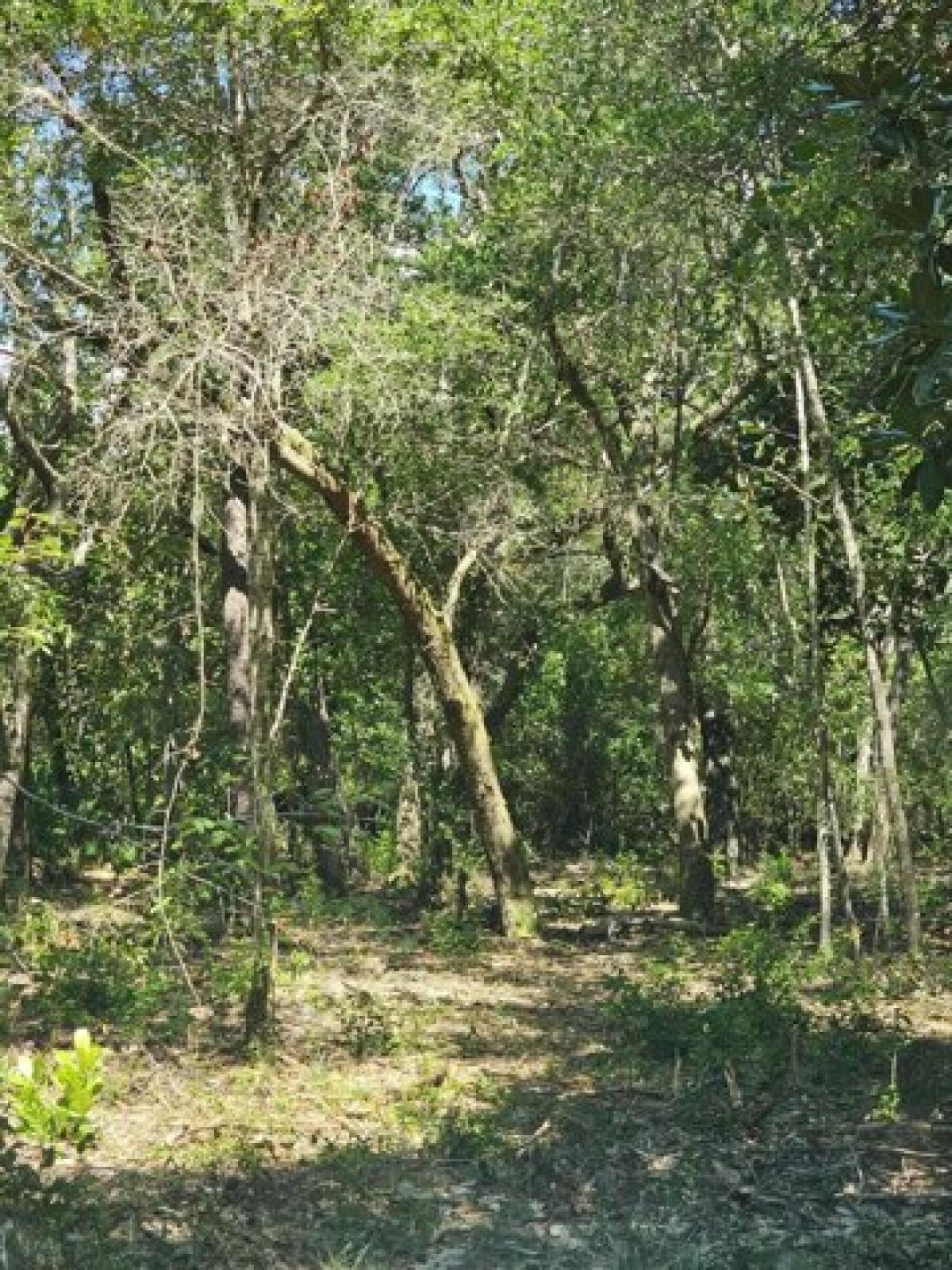 Picture of Residential Land For Sale in Freeport, Florida, United States