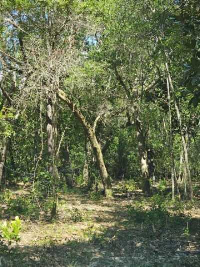 Residential Land For Sale in Freeport, Florida