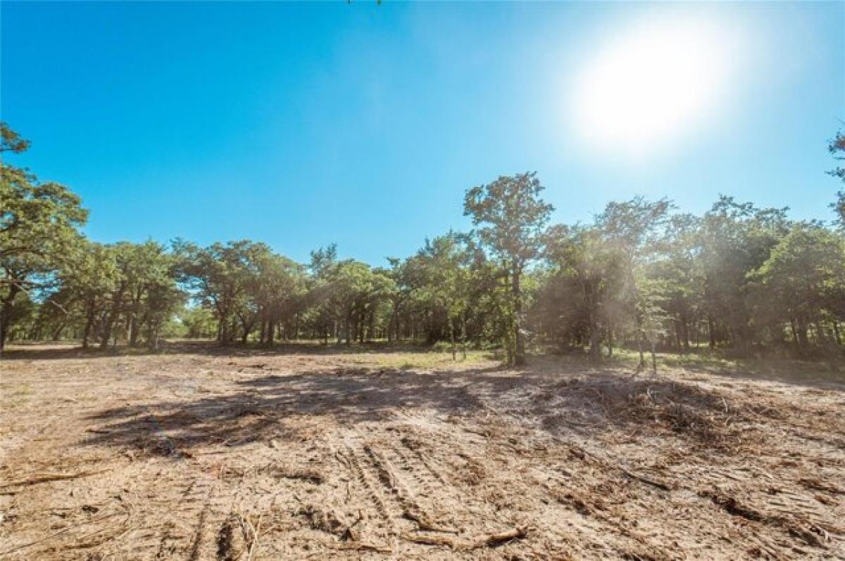 Picture of Residential Land For Sale in Gainesville, Texas, United States