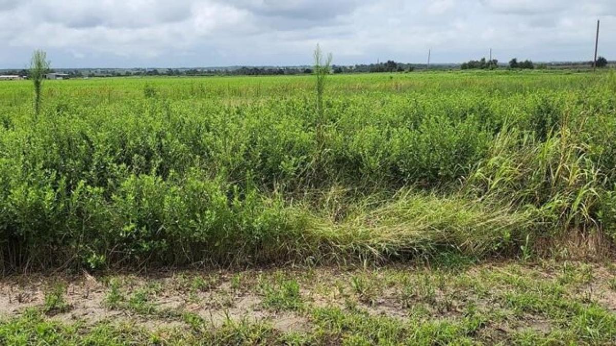 Picture of Residential Land For Sale in Coupland, Texas, United States