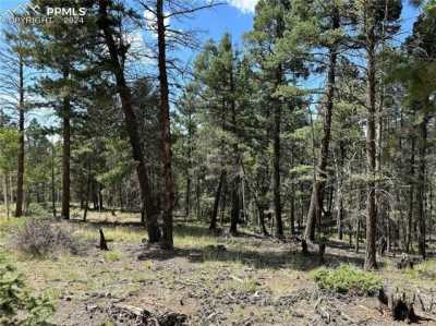 Residential Land For Sale in Florissant, Colorado