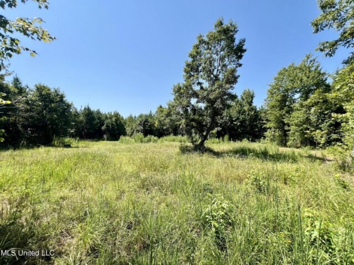 Picture of Residential Land For Sale in Camden, Mississippi, United States