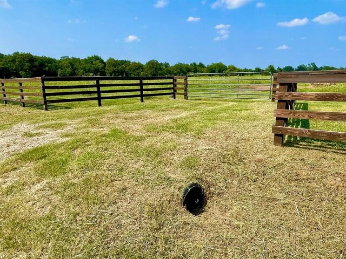 Picture of Residential Land For Sale in Calvert, Texas, United States