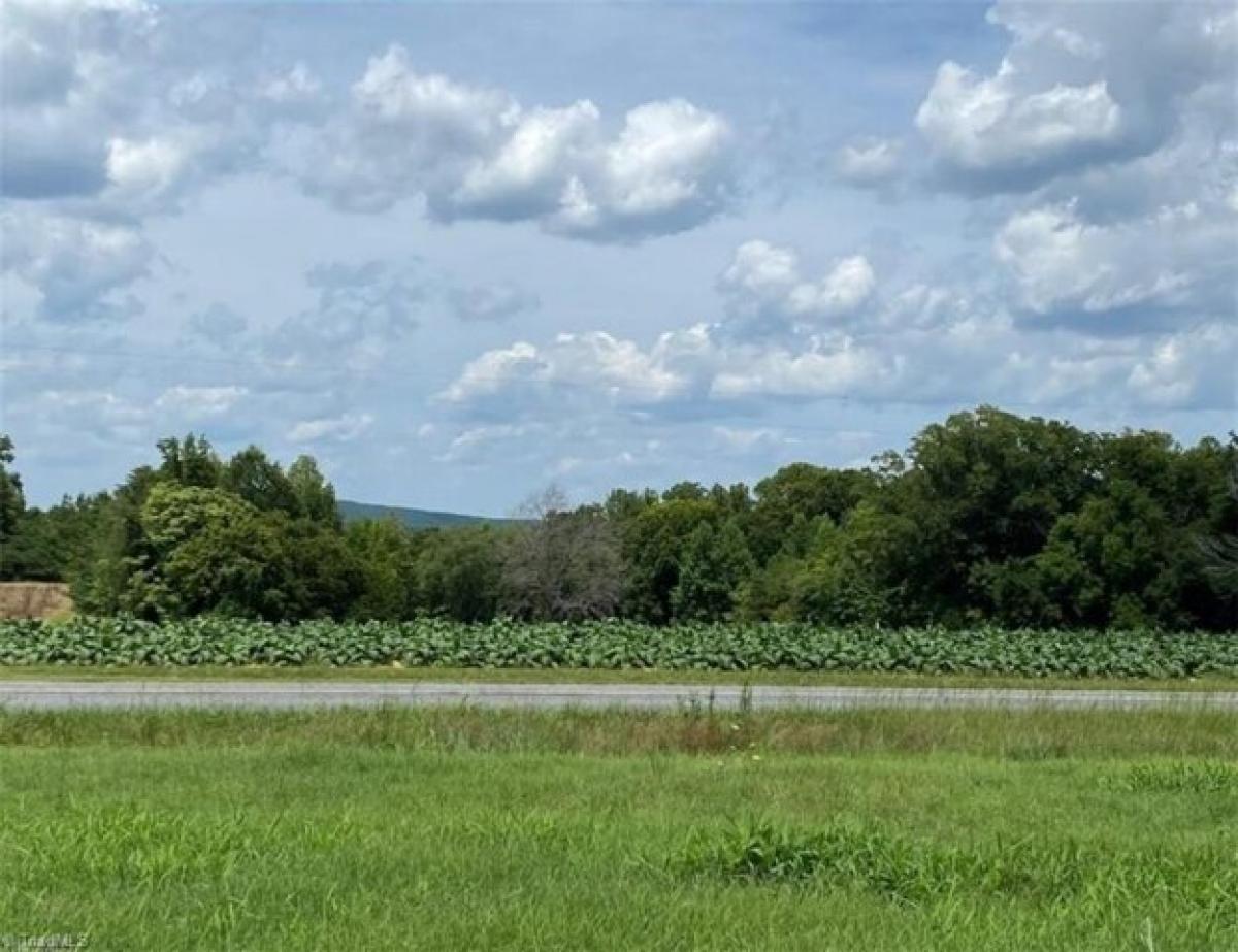 Picture of Residential Land For Sale in Ruffin, North Carolina, United States