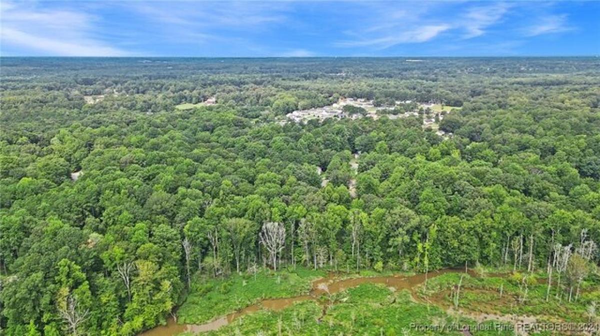 Picture of Residential Land For Sale in Sanford, North Carolina, United States