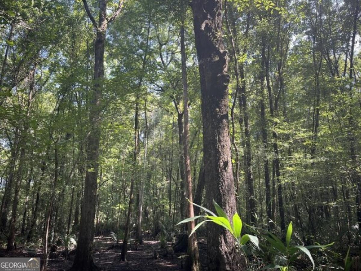 Picture of Residential Land For Sale in Statesboro, Georgia, United States