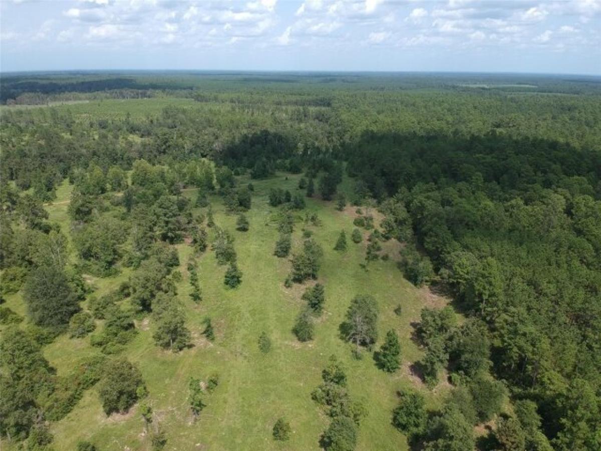 Picture of Residential Land For Sale in Hillister, Texas, United States