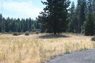 Residential Land For Sale in Burney, California