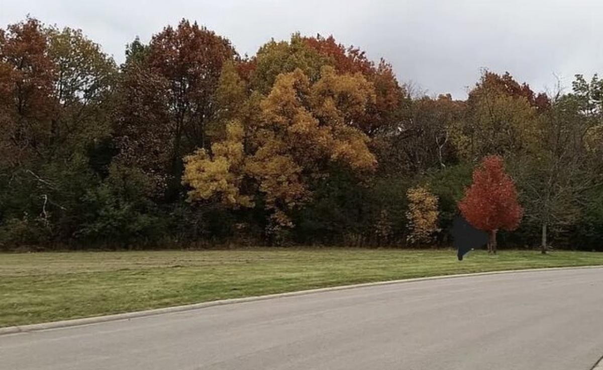 Picture of Residential Land For Sale in Spring Grove, Illinois, United States