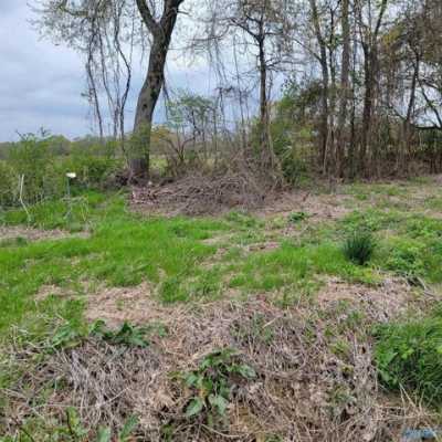 Residential Land For Sale in Union Grove, Alabama