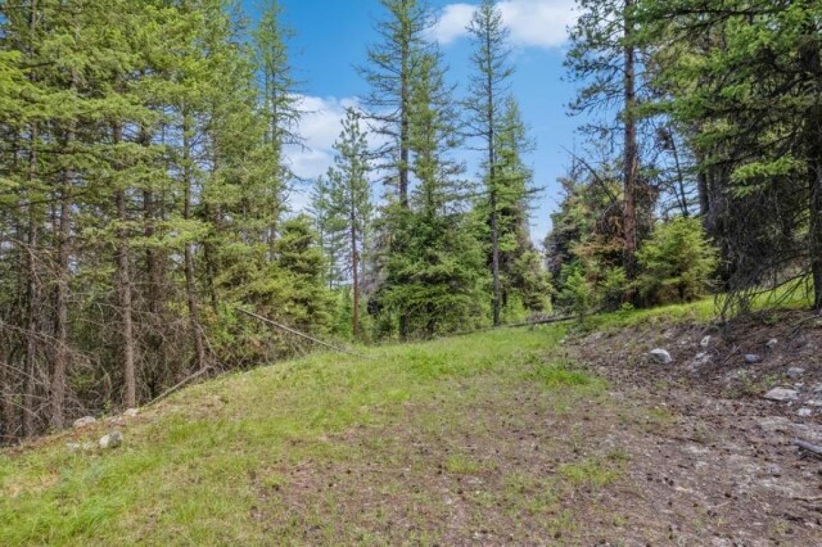 Picture of Residential Land For Sale in Kalispell, Montana, United States