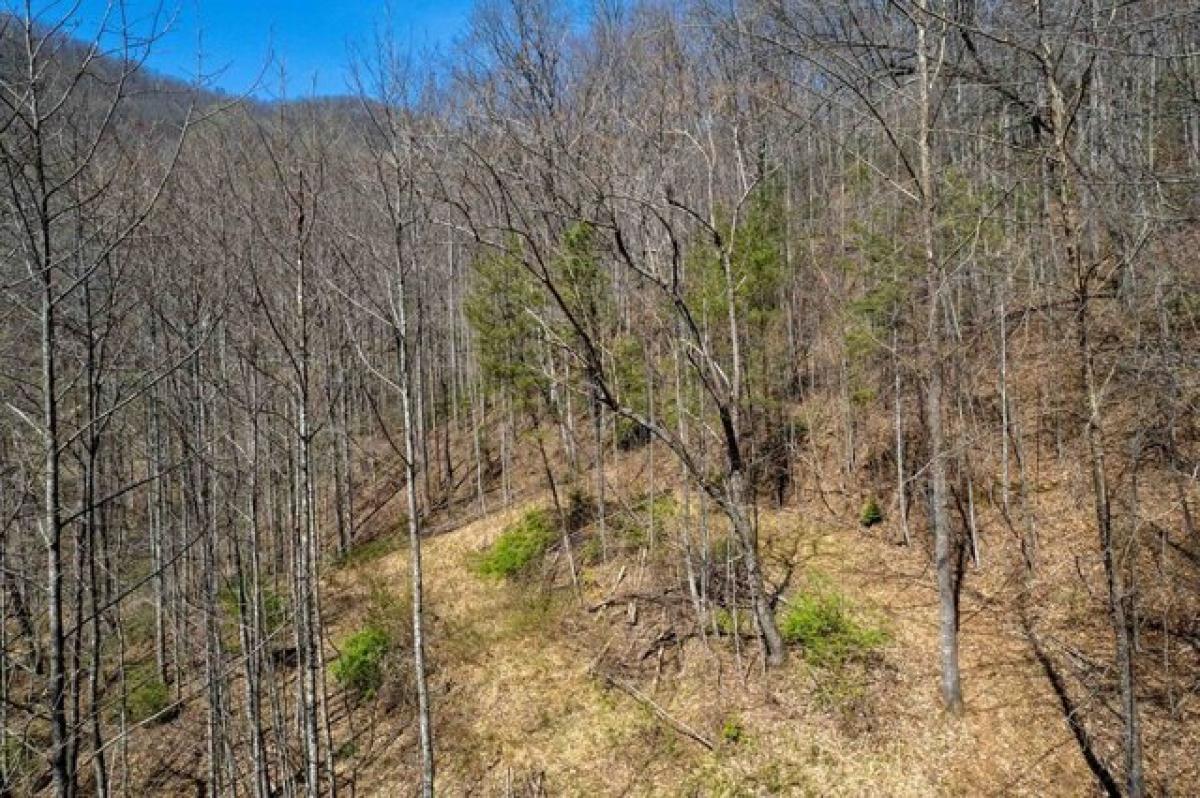 Picture of Residential Land For Sale in Sylva, North Carolina, United States