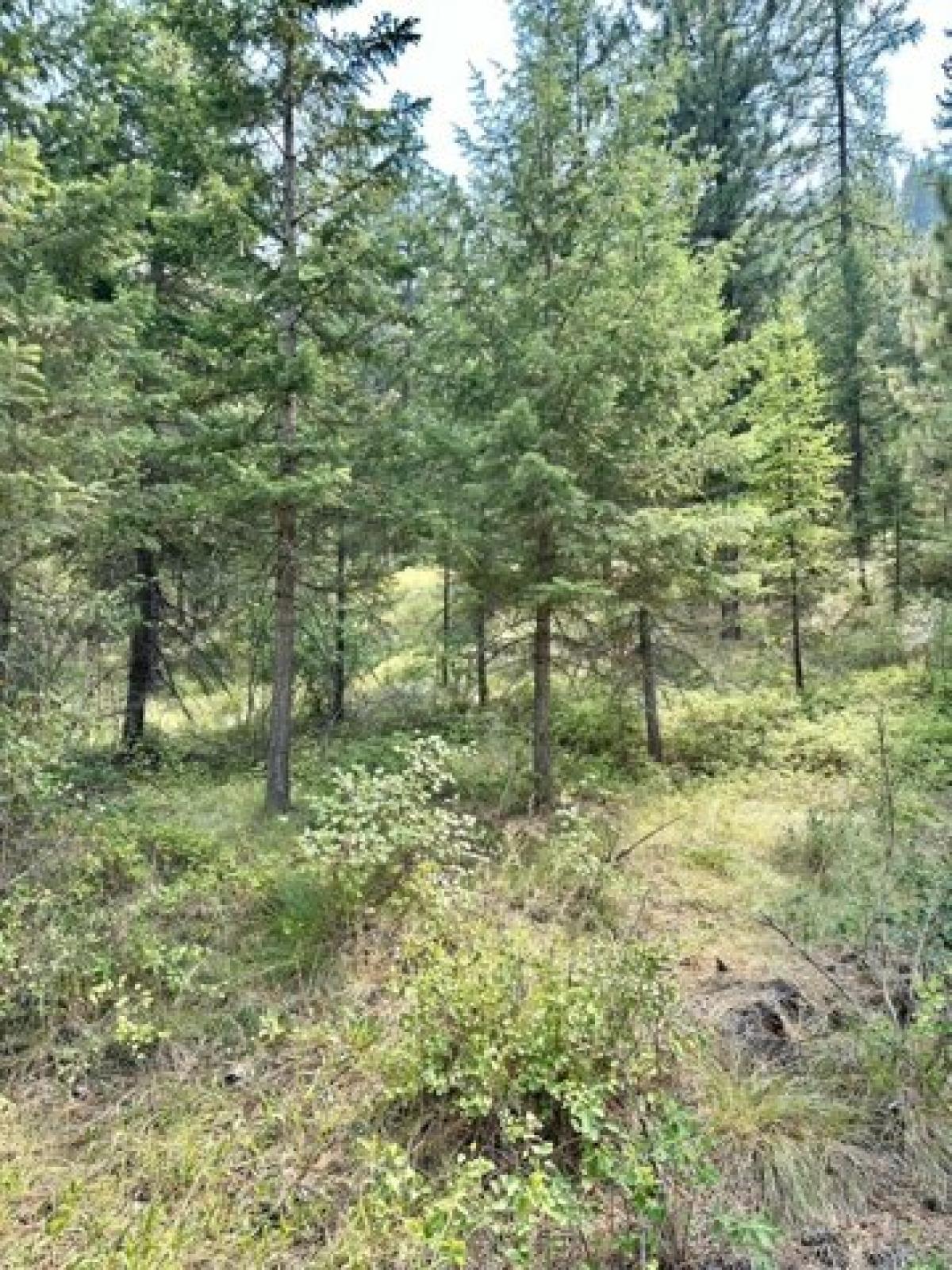 Picture of Residential Land For Sale in Superior, Montana, United States