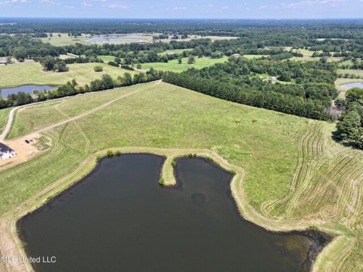 Picture of Residential Land For Sale in Flora, Mississippi, United States