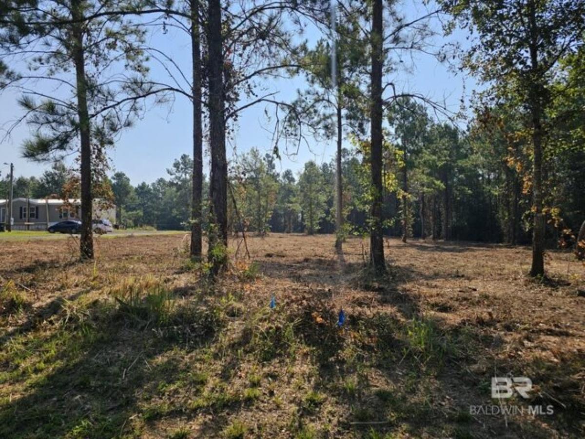 Picture of Residential Land For Sale in Robertsdale, Alabama, United States