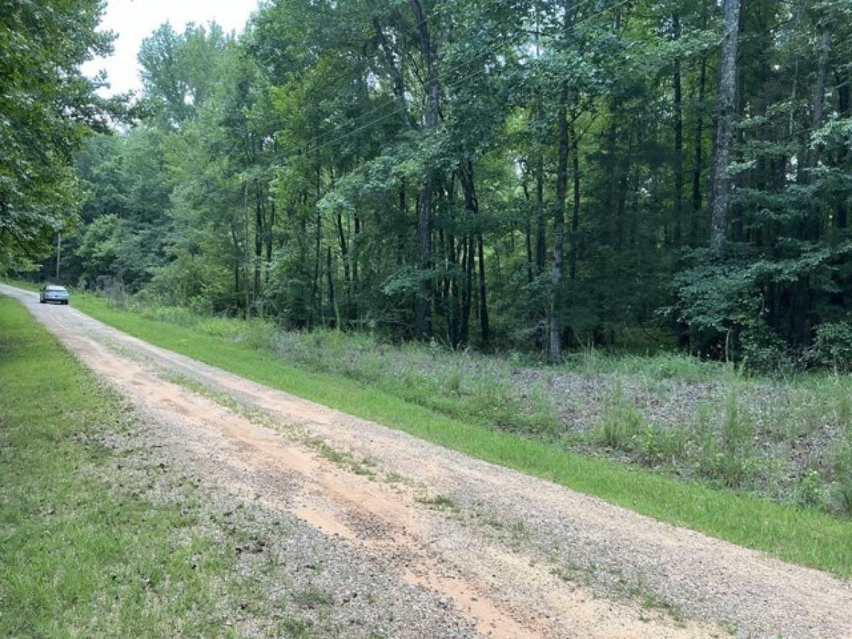 Picture of Residential Land For Sale in Saulsbury, Tennessee, United States