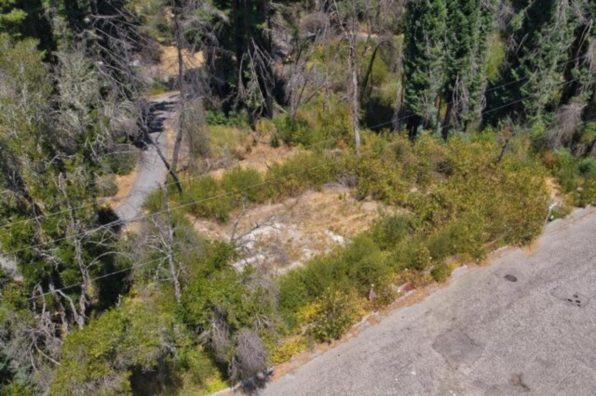 Picture of Residential Land For Sale in Boulder Creek, California, United States