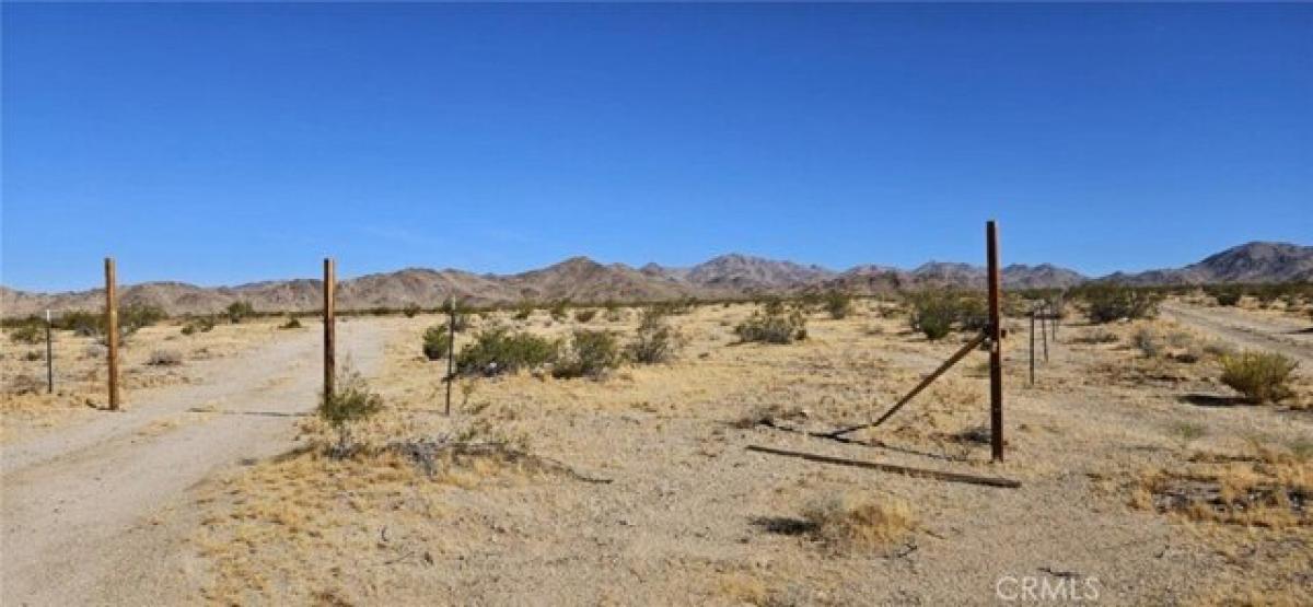 Picture of Residential Land For Sale in Lucerne Valley, California, United States