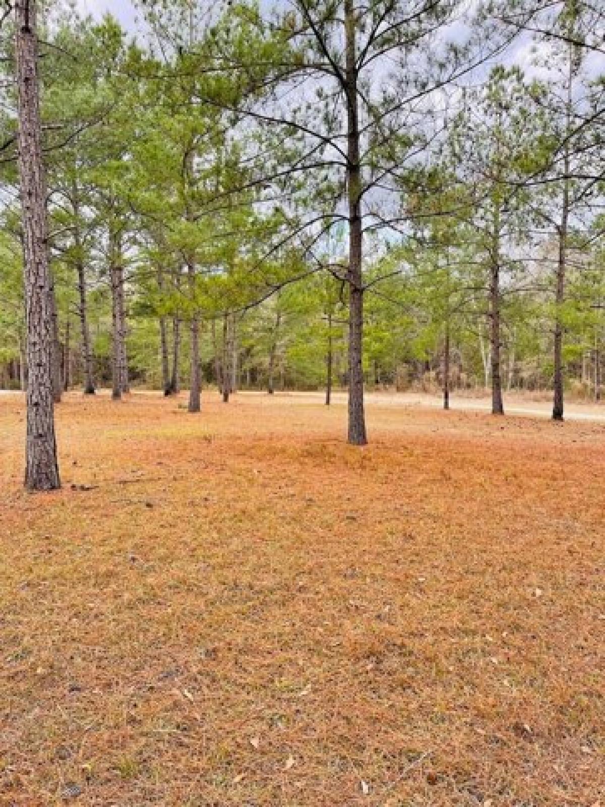 Picture of Residential Land For Sale in Tifton, Georgia, United States