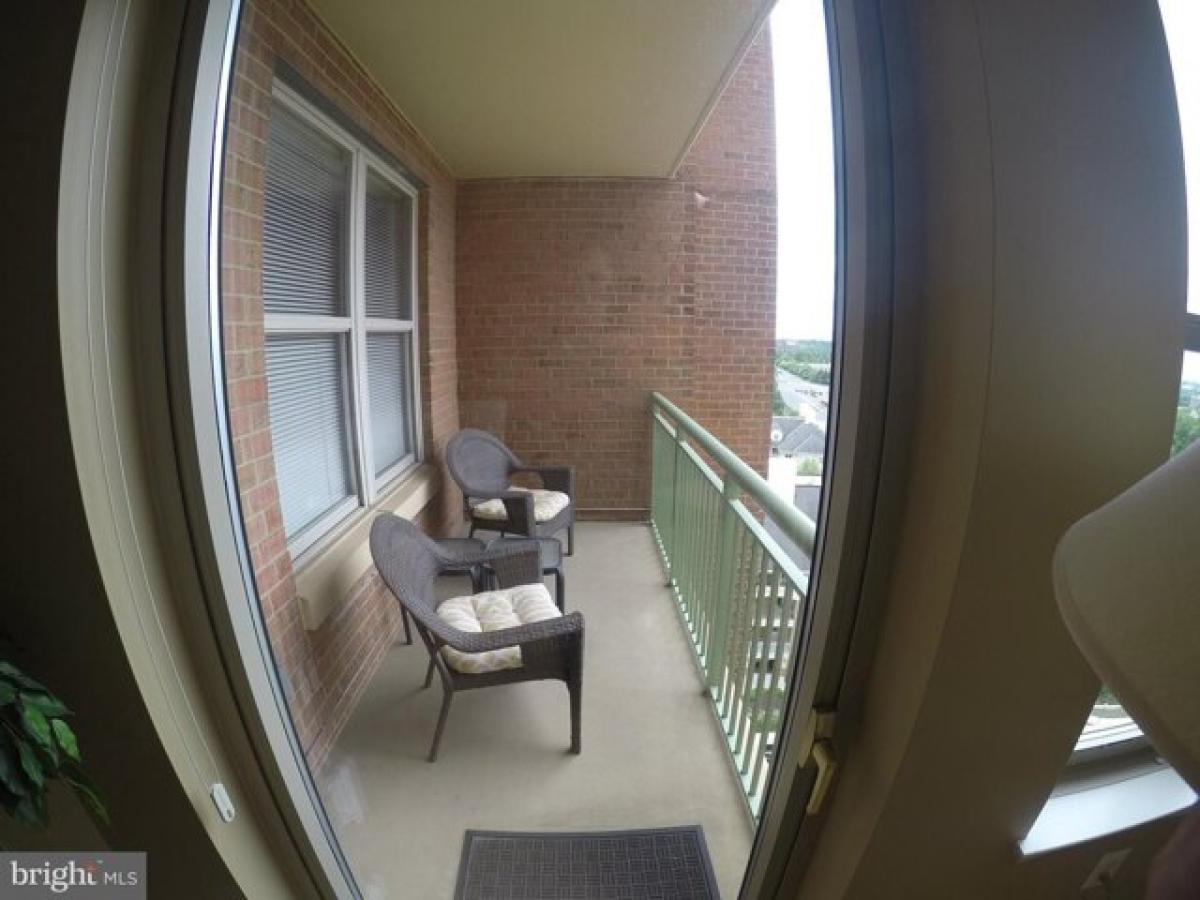 Picture of Apartment For Rent in Reston, Virginia, United States