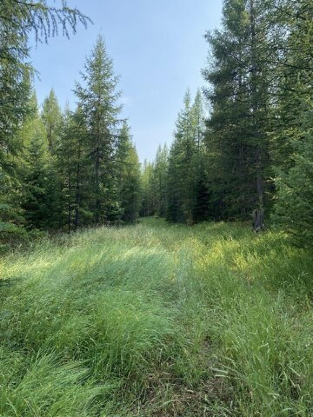 Picture of Residential Land For Sale in Kila, Montana, United States