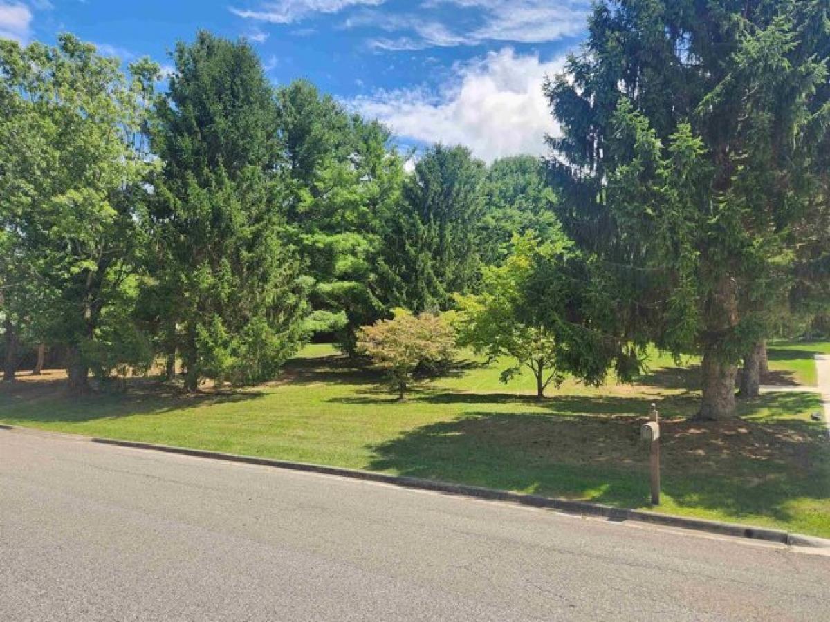 Picture of Residential Land For Sale in Wytheville, Virginia, United States