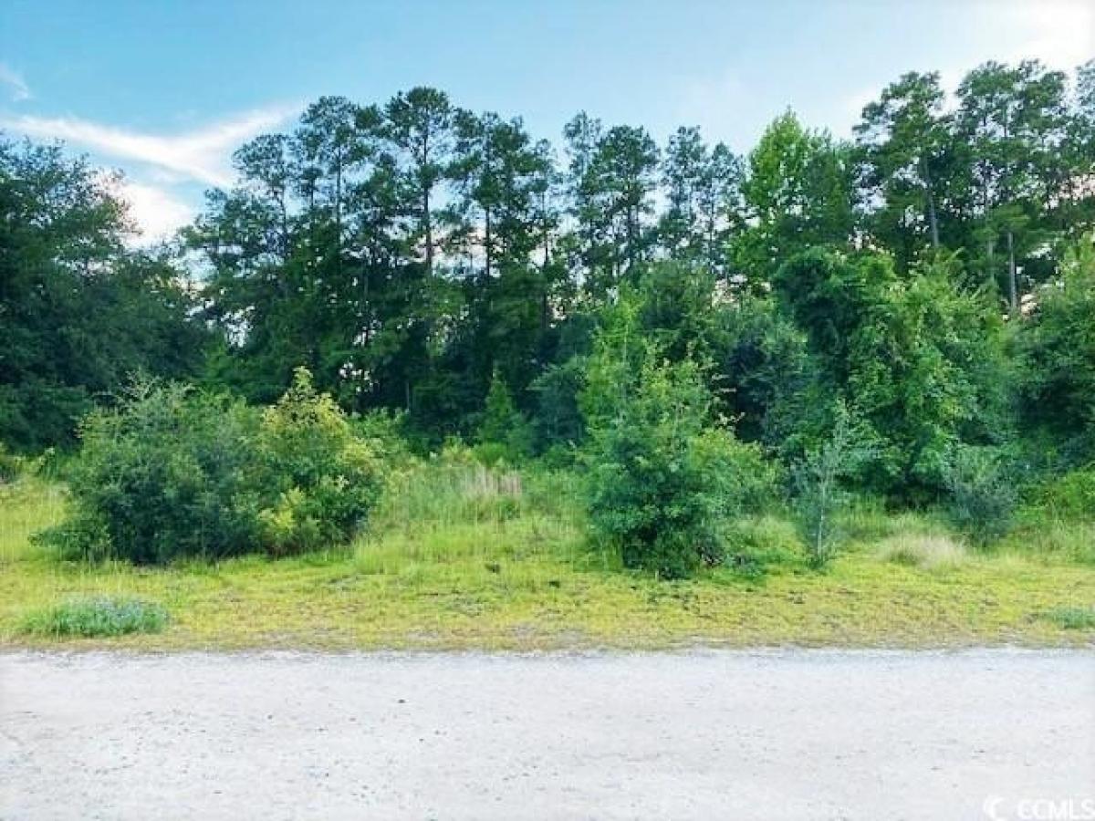 Picture of Residential Land For Sale in Dillon, South Carolina, United States