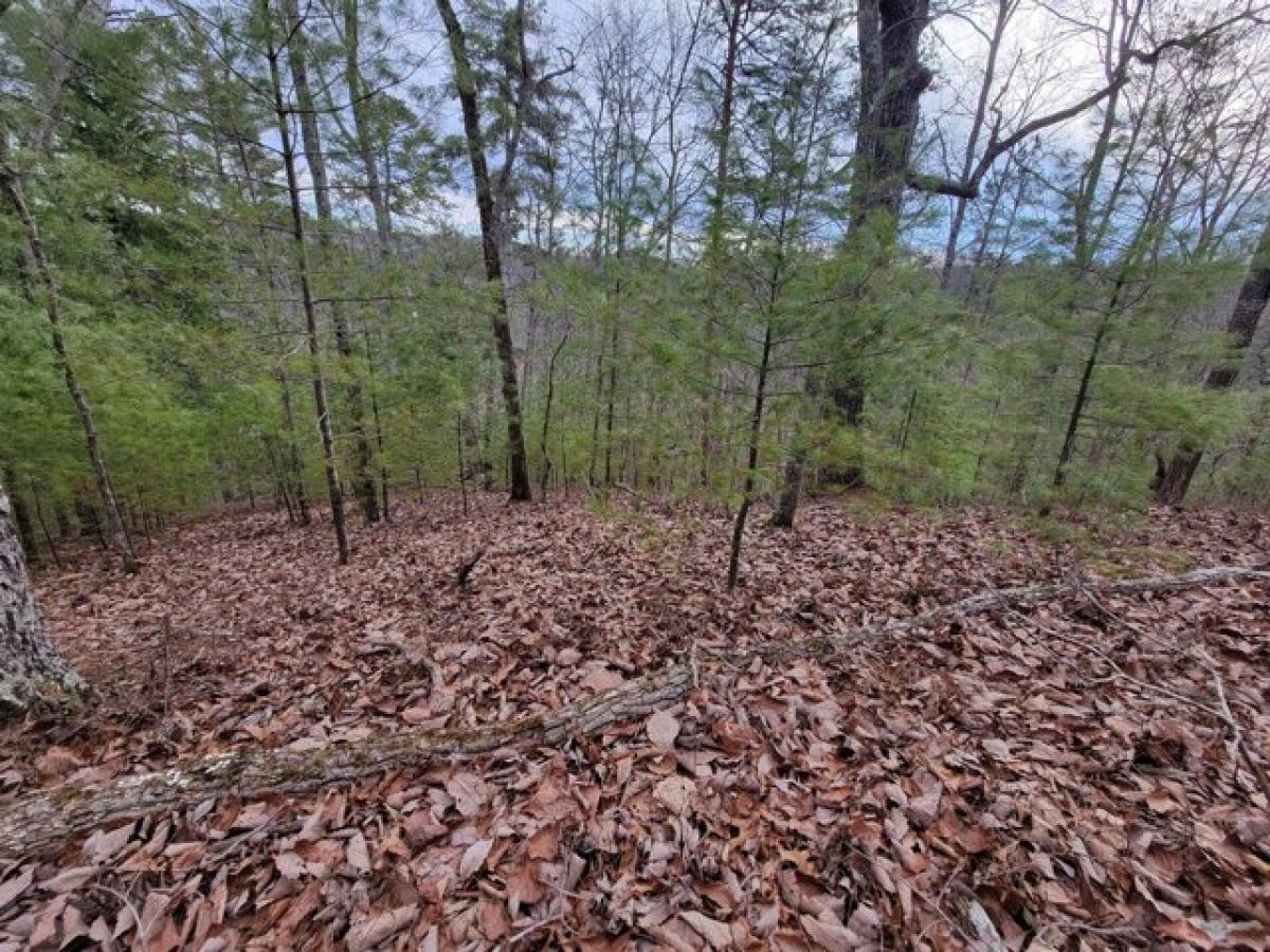 Picture of Residential Land For Rent in Ranger, Georgia, United States