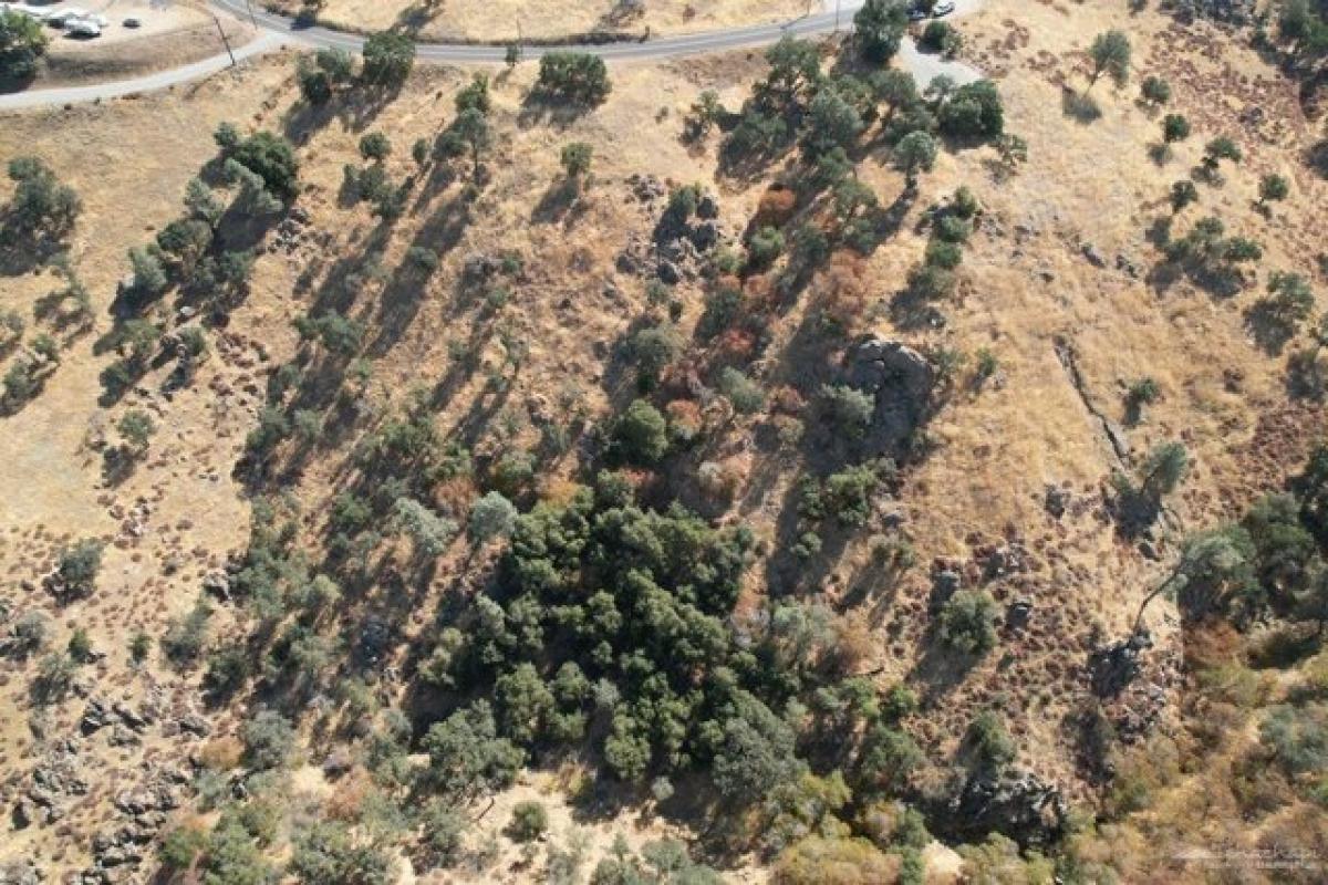 Picture of Residential Land For Sale in Tehachapi, California, United States