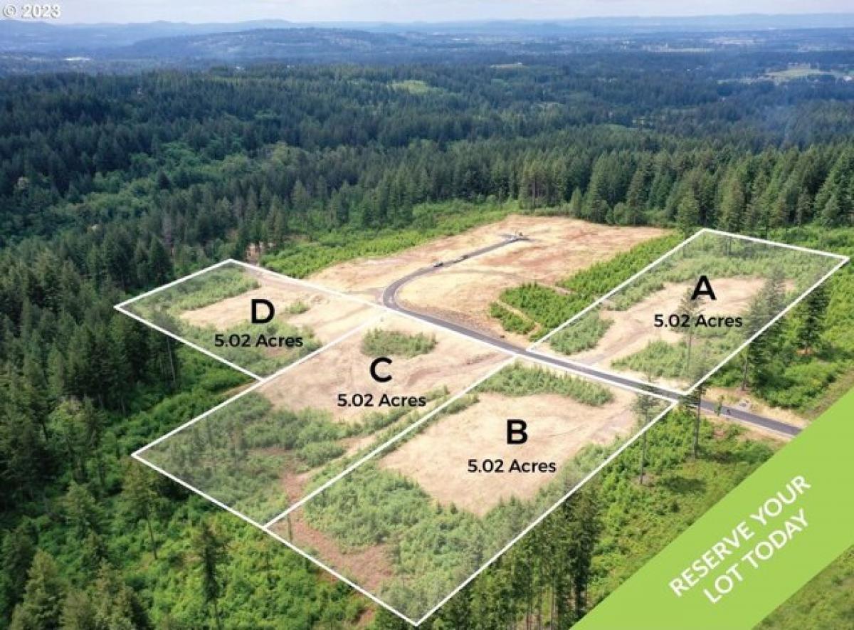 Picture of Residential Land For Sale in Camas, Washington, United States