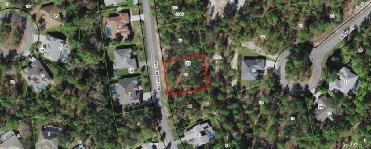 Picture of Residential Land For Sale in Homosassa, Florida, United States